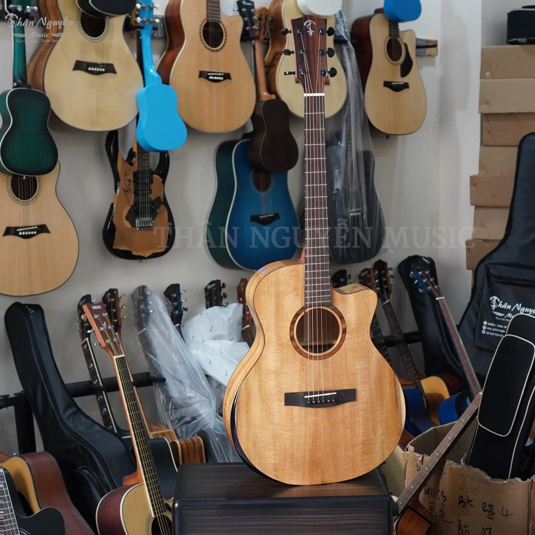 Shop Guitar Phú Xuyên Hà Nội, Cửa hàng Bán Guitar, Sửa đàn Guitar Uy Tín Hà Nội