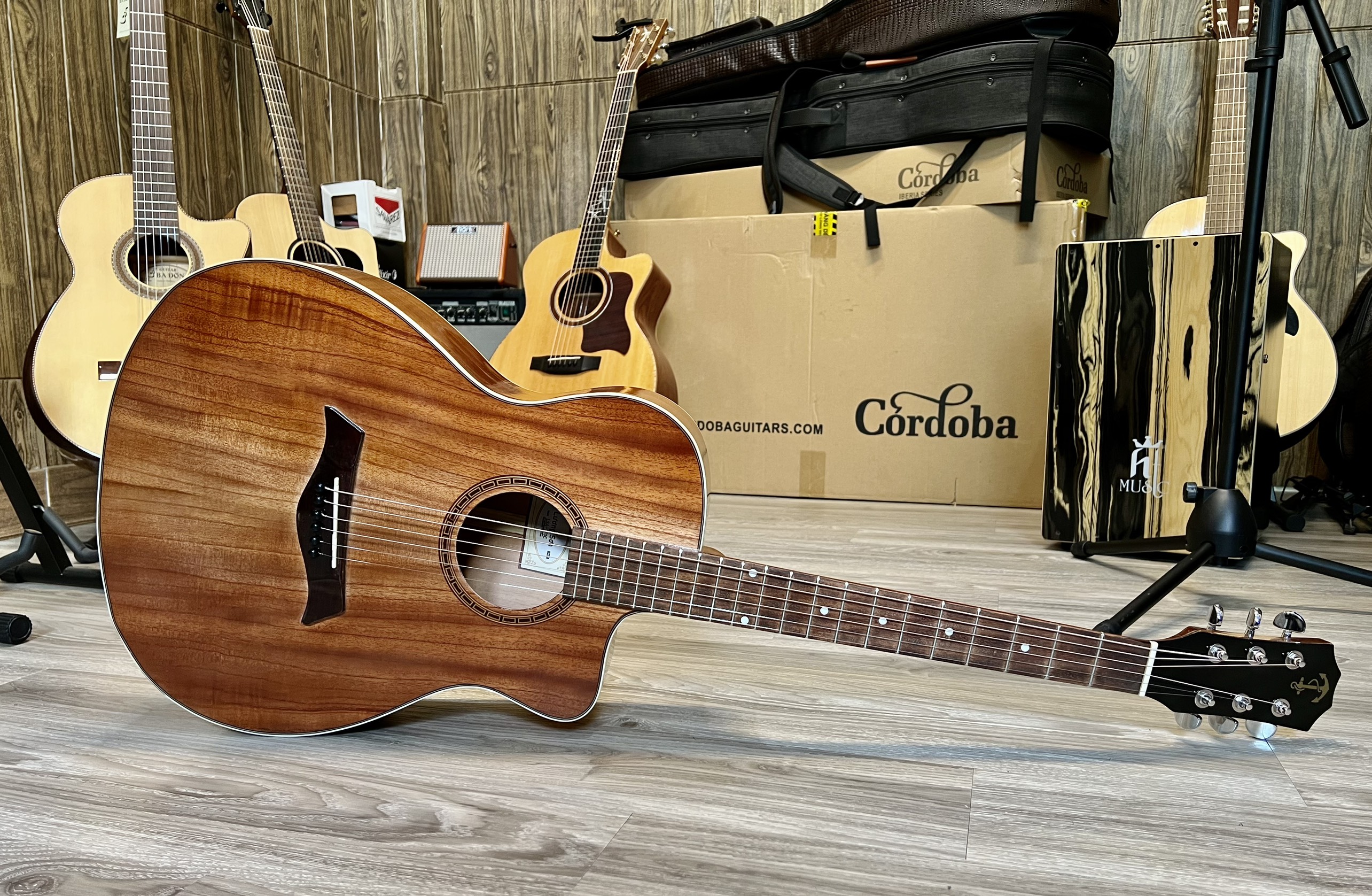 Shop Guitar Quảng Ninh, Địa Chỉ Bán Guitar Uy Tín, Sửa chữa, Lắp EQ đàn Guitar Chuyên Nghiệp