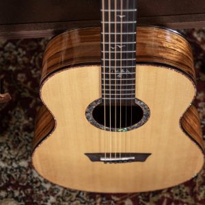 Đàn Guitar Acoustic Washburn BTS24S Bella Tono Elegante Nhập Khẩu Mỹ