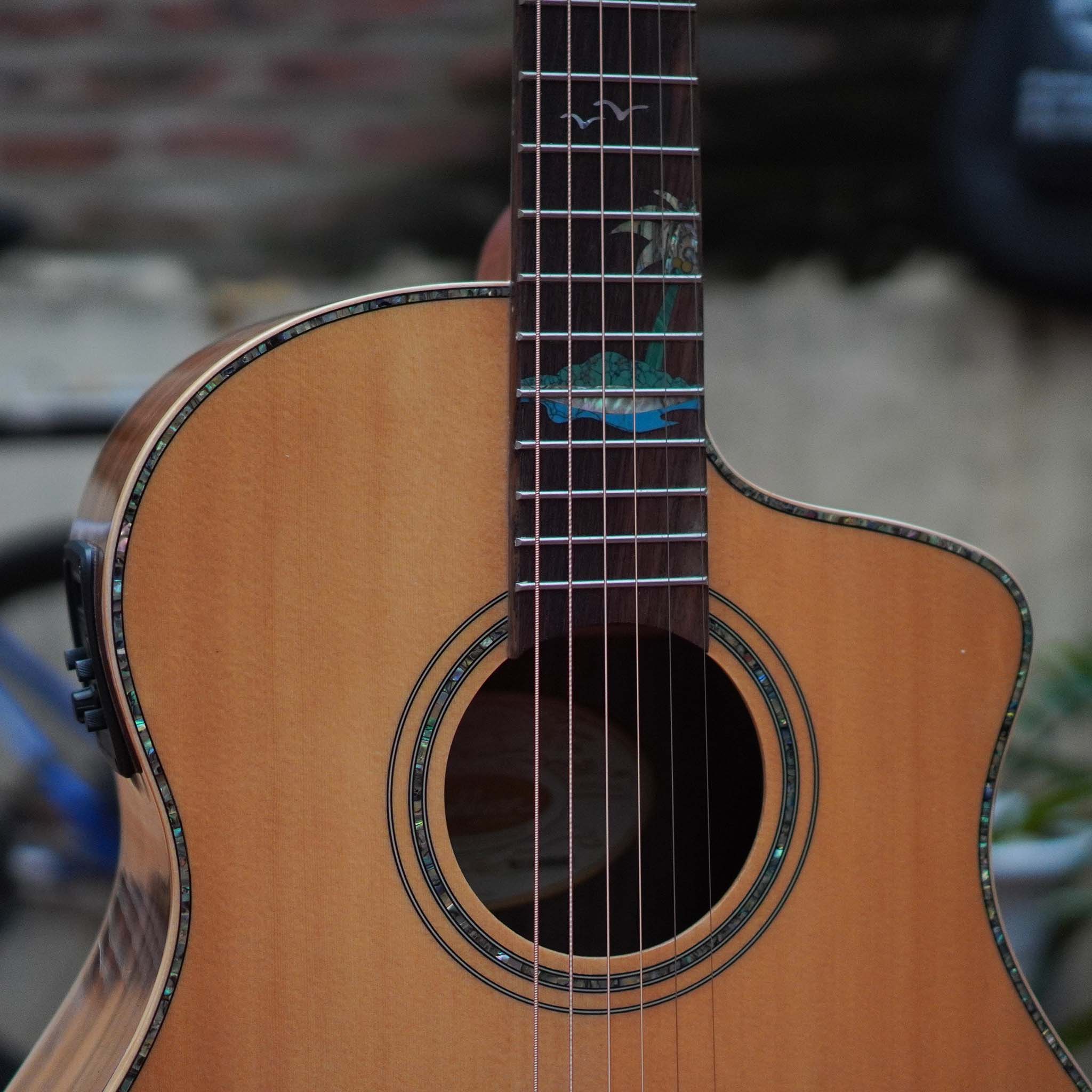 Đàn Guitar Acoustic Washburn BTSC56SCE Bella Tono Allure Chính Hãng