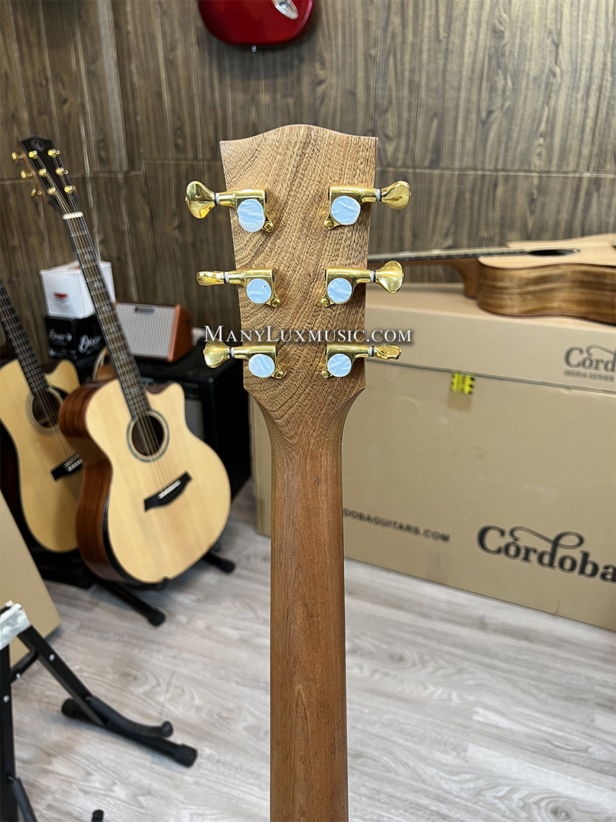 Guitar Acoustic Lương Sơn LSA699CX Limited Phiên Bản Giới Hạn Cực Đẹp